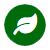 icon green